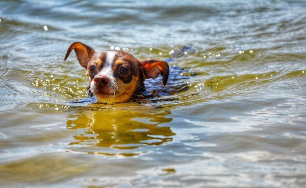 Quels sont les outils de base pour commencer à coder des sites web ?