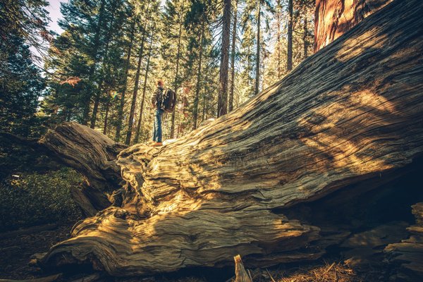 Comment « Night in the Woods 2 » pourrait-il explorer davantage les thèmes de l'amitié et du passage à l'âge adulte ?